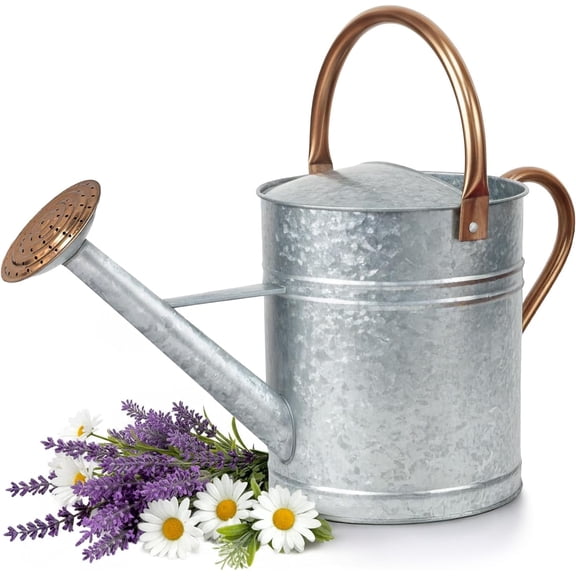 Plexon 2 Gallon Large Metal Watering Can Outdoor, Plant Flower Gardening Garden Watering Can Pot, Bronze Galvanized Steel Handles and Removable Spray Spout, Silver