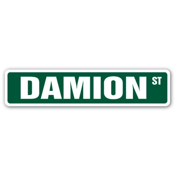 DAMION Street Sign Childrens Name Room Sign | Indoor/Outdoor |  24" Wide