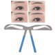 thumbnail image 5 of Plantilla de cejas semipermanente, plantilla de cejas reutilizable Plantilla de cejas microblading semipermanente Plantilla de cejas Materiales ecológicos, 5 of 8