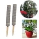 thumbnail image 3 of 2pcs Moss Pole for Climbing Plants, 30cm Plant Support Stake for Indoor Garden Vine Growth, 3 of 5
