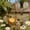 OrangeB, variant on Oriole Bird Feeder, Hanging, Metal, Outdoor, Fruit Holder