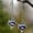 1#TAmethyst Bird, variant on Fashion Amethyst 925 Silver Ear Hook Drop Dangle Earrings Women Wedding Jewelry-2#Green Crystal
