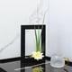 thumbnail image 3 of Maceta de pared Sharpla Jardinera colgante Negro 30x20x4.5cm, 3 of 8