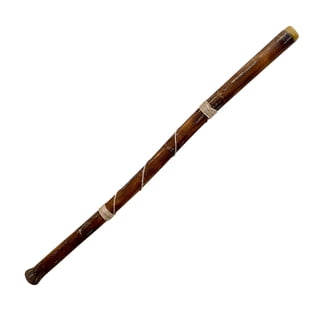 Collectible MtG Homelands Rare Didgeridoo - Walmart.com