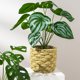 thumbnail image 4 of Plantas artificiales en maceta, bonsái verde, plantas pequeñas en maceta para estante de oficina, cocina, decoración interior y exterior estilo c Macarena Plantas en macetas falsas, 4 of 8