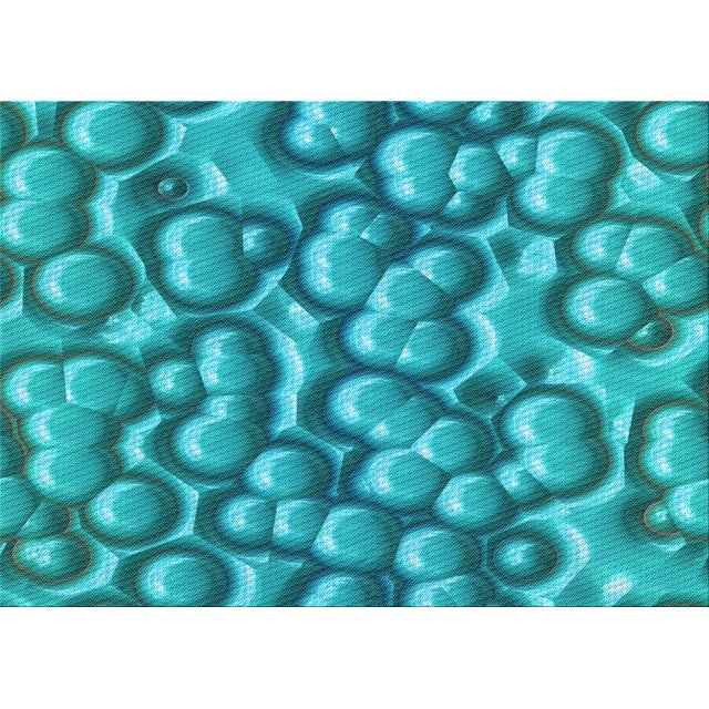 Ahgly Company Tapis d'Intérieur Lavables en Machine Rectangle Transitionnel Vert Cyan Foncé, 5' x 7'