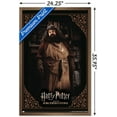 thumbnail image 3 of Harry Potter and the Sorcerer's Stone - Hagrid Cooking Wall Poster, 22.375" x 34", Framed, 3 of 3