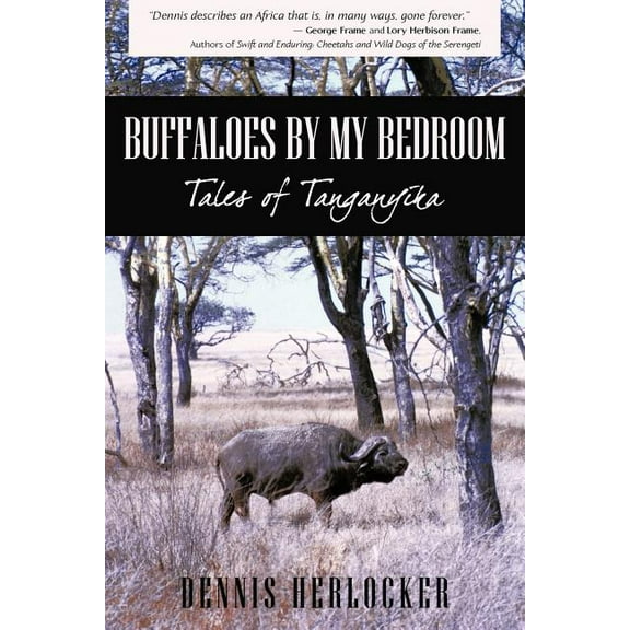 Buffaloes by My Bedroom (Paperback)