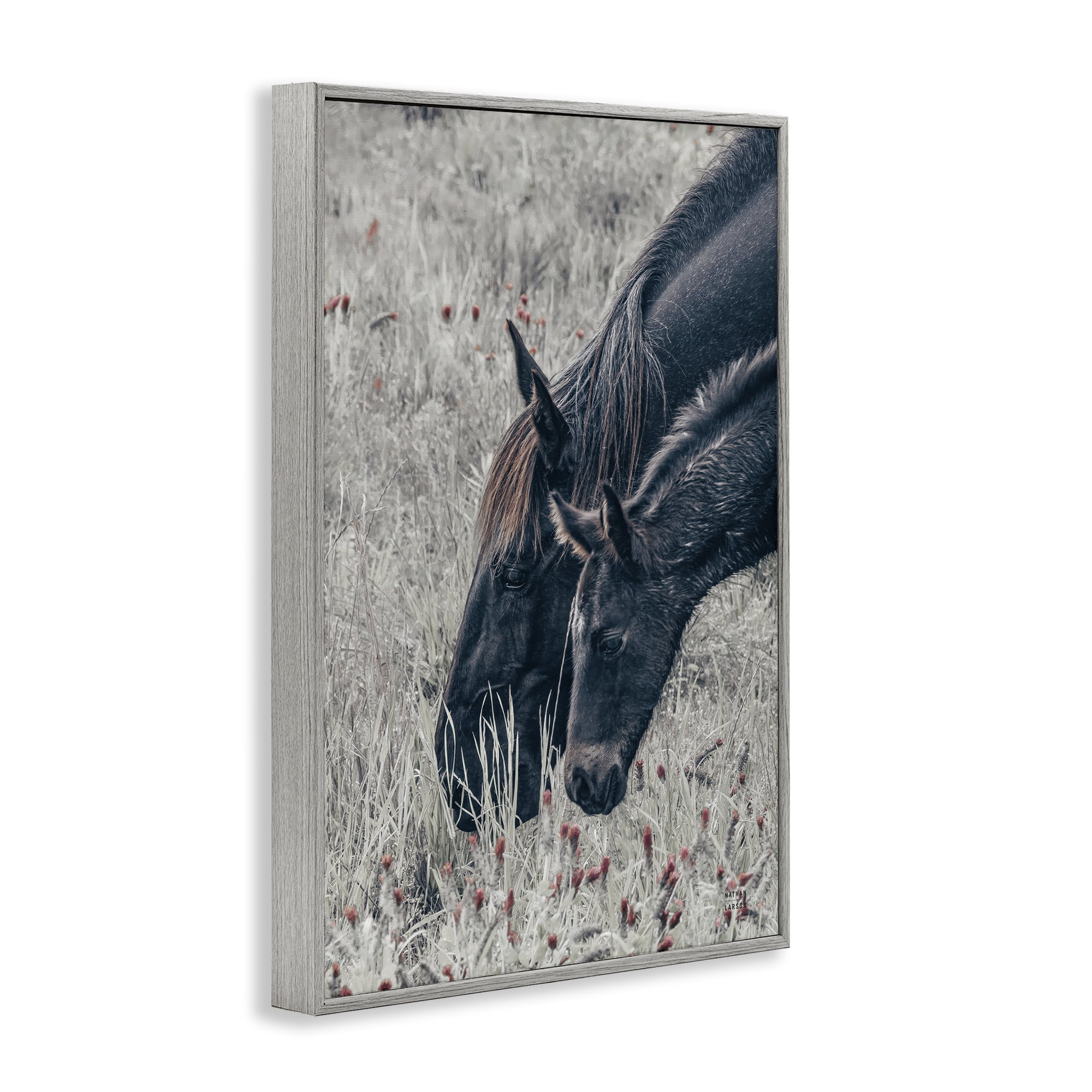 Stupell Industries New Graze Horses in Meadow Gray Framed Giclee Art, design by Nathan Larson