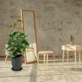 thumbnail image 3 of CIMAXIC 10 Pcs Practical Flowerpot Tray Planter Bottom Tray Bonsai Tray Flowerpot Pallet,9.45"X9.45"X1.18", 3 of 4