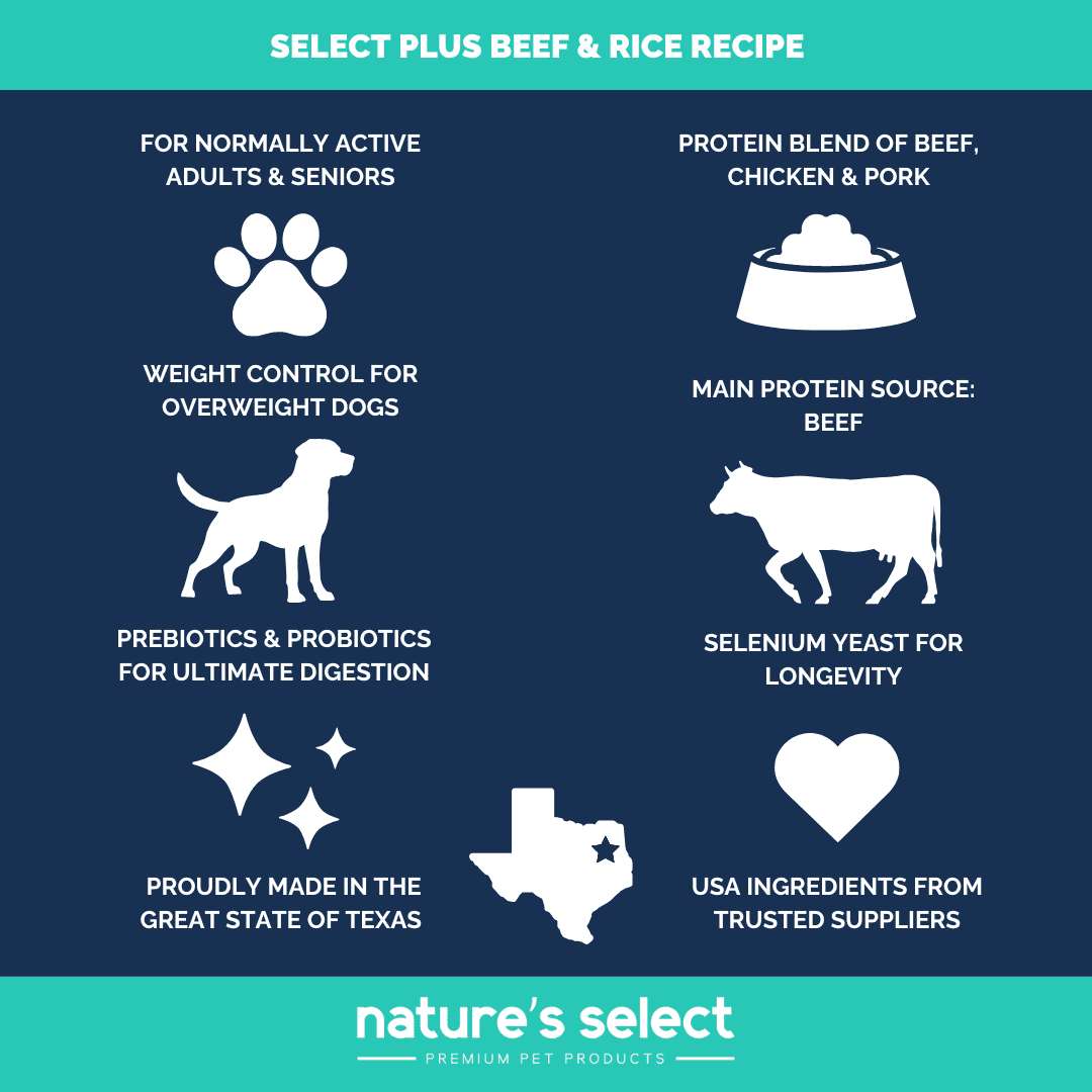 Nature's Select Plus - Beef & Rice Recipe, Dry Dog Food for Adults