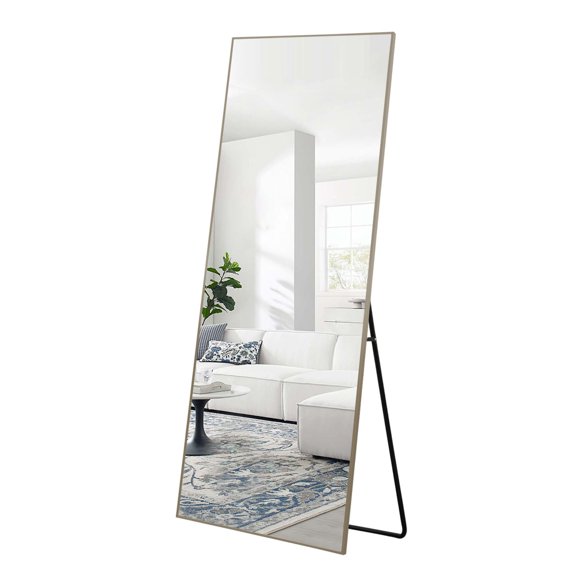 Full Length Floor Mirror Standing Rectangle Champagne 65"x22"