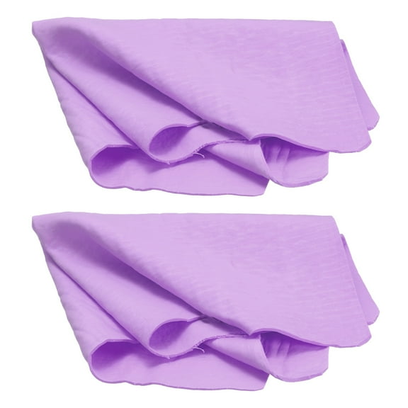 2Pcs Premium Shammy Cloth for Car Drying 16.9" x 12.6" in Bags, Purple