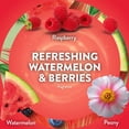 thumbnail image 4 of Air Wick Plug-in Scented Oil Refills, Refreshing Watermelon and Berries, 4 Count, 4 of 5