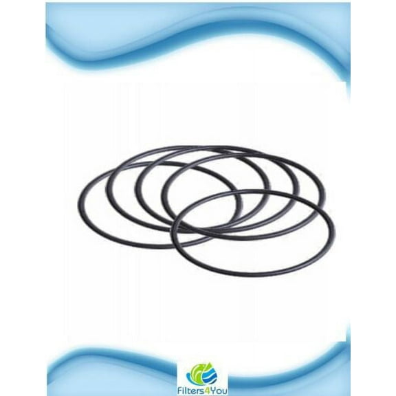 (5 Pack) Ametek W34-OR Filter O'ring Replacements