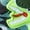 green, variant on Toddler Boys Tyrannosaurus Rex Light Up Shoes, Sporty LED Sneakers with Soft Sole for All Season Daily Wear