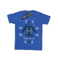 thumbnail image 1 of Harry Potter Boys Christmas Knit T-Shirt, 1 of 3