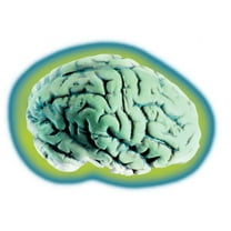Loftus Glowing Alien Organ Brain Halloween Decoration Prop, Green