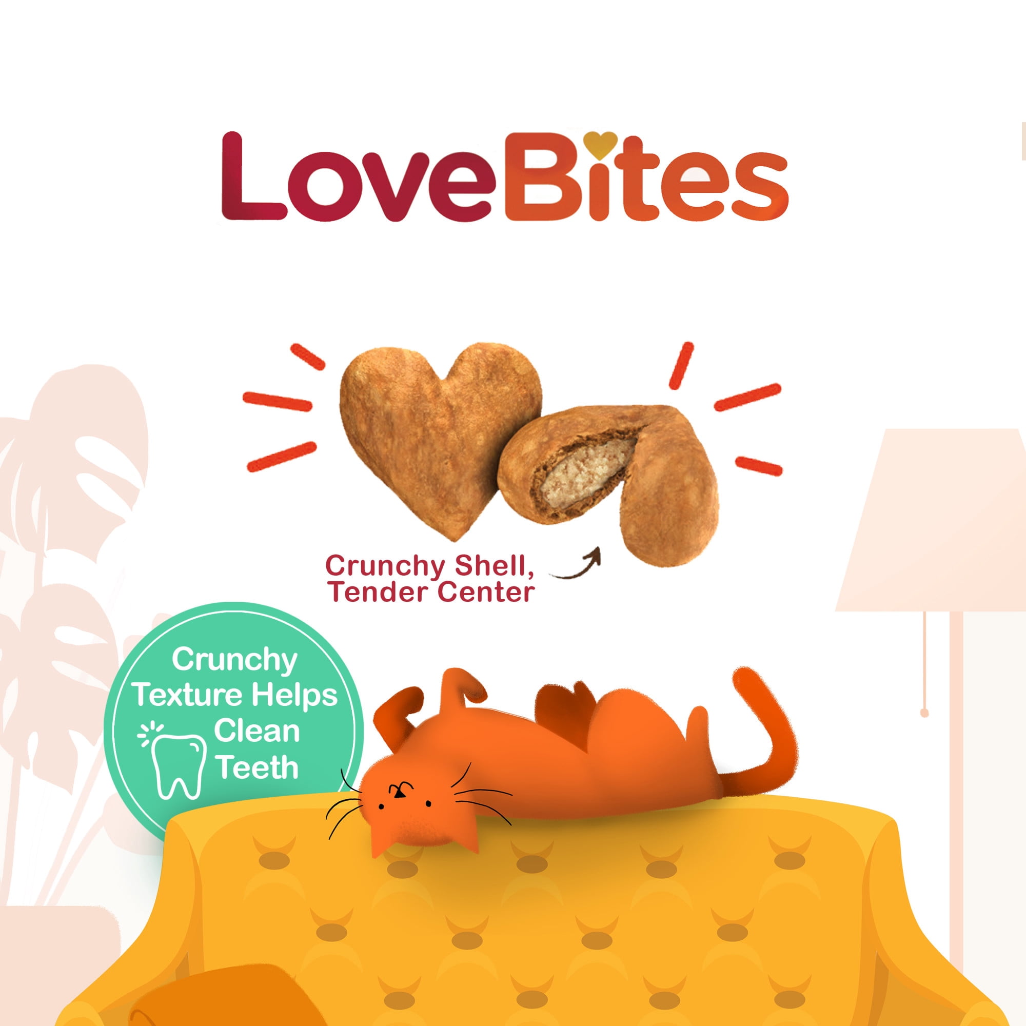Rachael Ray Nutrish Love Bites Cat Treats, Salmon 12.5 Ounce Canister