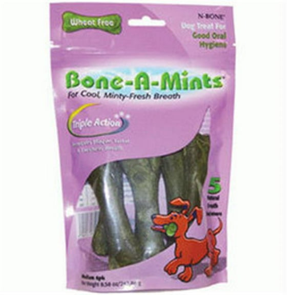 N-Bone  Wheatfree Bone A Mint Med 6Ct