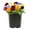 Multicolor, variant on Expert Gardener 2.5QT Multicolor Pansy Live Annual Plant Sun 3-Pack