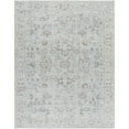 thumbnail image 6 of Livabliss x Our PNW Home Olympic Updated Traditional Area Rug, 7'10" x 10', Light Blue, 6 of 9