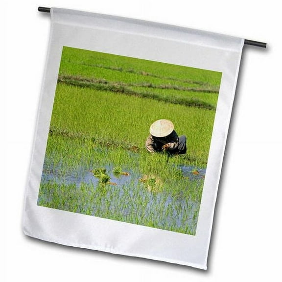 3dRose, Vietnamese farmer, Rice paddy, Hoi An, Vietnam-AS38 DFR0370 - David R. Frazier, 18 x 27 inch Garden Flag