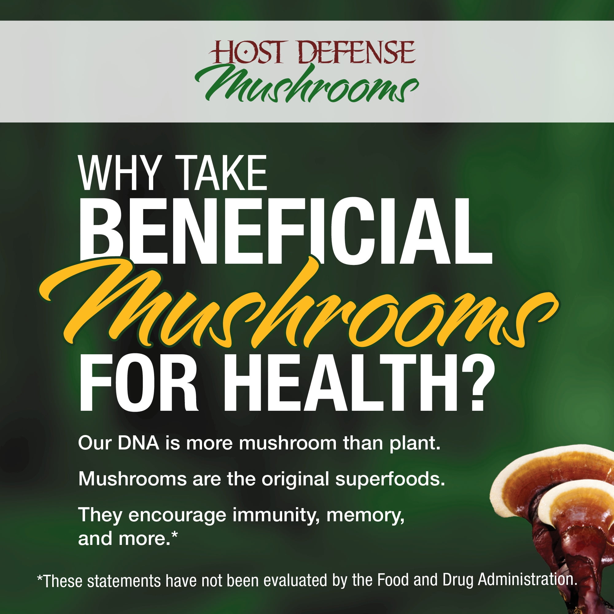 Host Defense Mycommunity Multi Mushroom Capsules Comprehensive Support For A Robust And Resilient Immune System With Lion S Mane Turkey Tails And Reishi Non Gmo Vegan Organic 30 Count Walmart Com Walmart Com