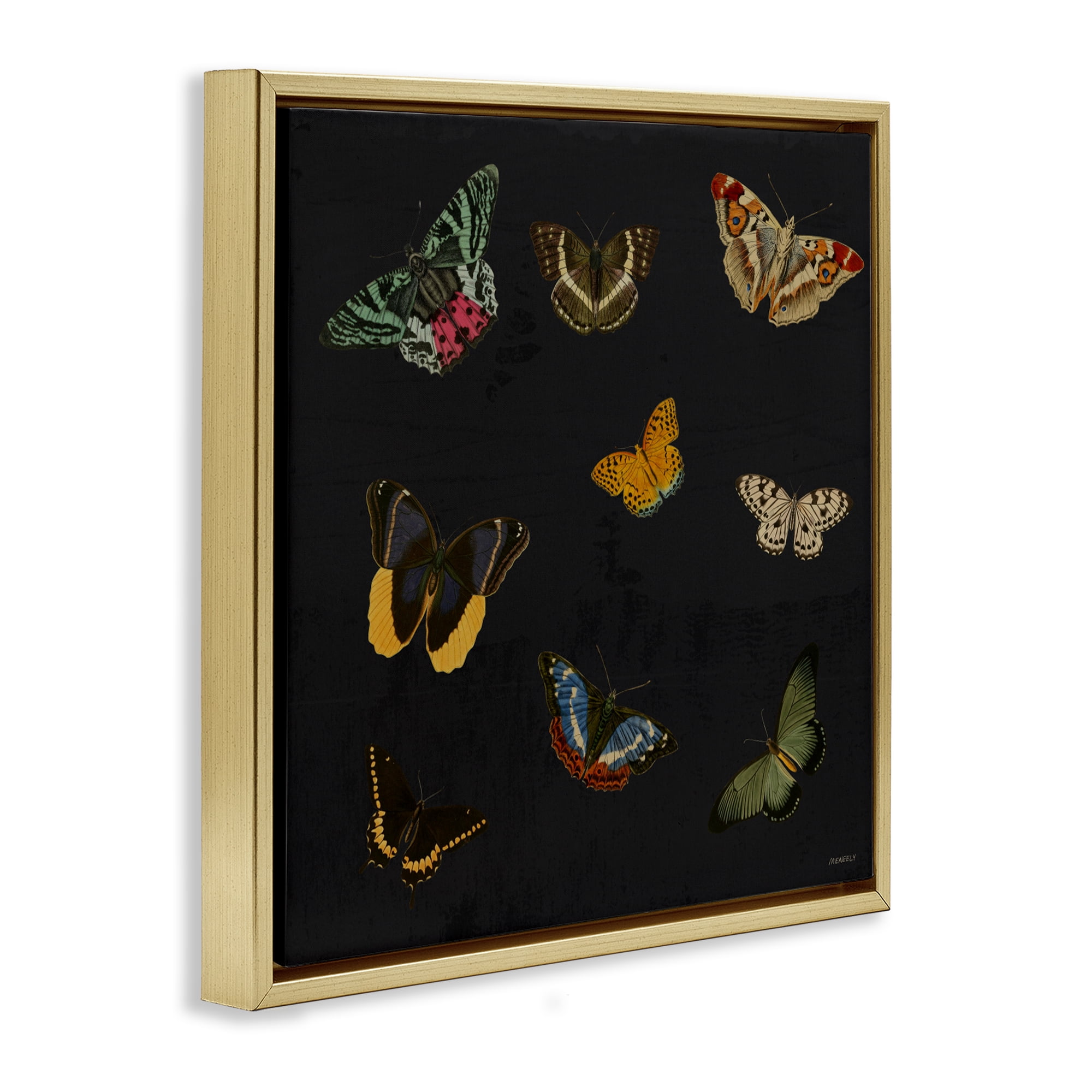 Stupell Industries Butterfly & Moth Collection Gold Framed Floater Canvas Wall Art, design by Dan Meneely