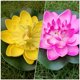 thumbnail image 1 of unbranded 10Ud Planta Artificial De Loto Para Adornar Piscinas Y Estanques Con Natural, 1 of 8