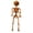 D-#002, variant on Mini Skeleton Posable Plastic Skeleton, 19.69in Jack O Lantern Skeleton Hanging Prop for Fall Holiday Spooky Indoor Home Decor