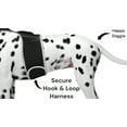thumbnail image 2 of Realtime Detailed GPS Dog Tracking System Water Resilient Collar Mounted Tracker Size:L, 2 of 5