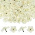 thumbnail image 1 of Uxcell Paquete de 50 Cabezas de Rosas Artificiales, Cabeza de Rosa de Seda Falsa para Boda/Ramo/Pared de Flores/Artesanías DIY/Decoración de Fiesta, Cabezas de Flores Falsas [Blanco Crema], 1 of 1