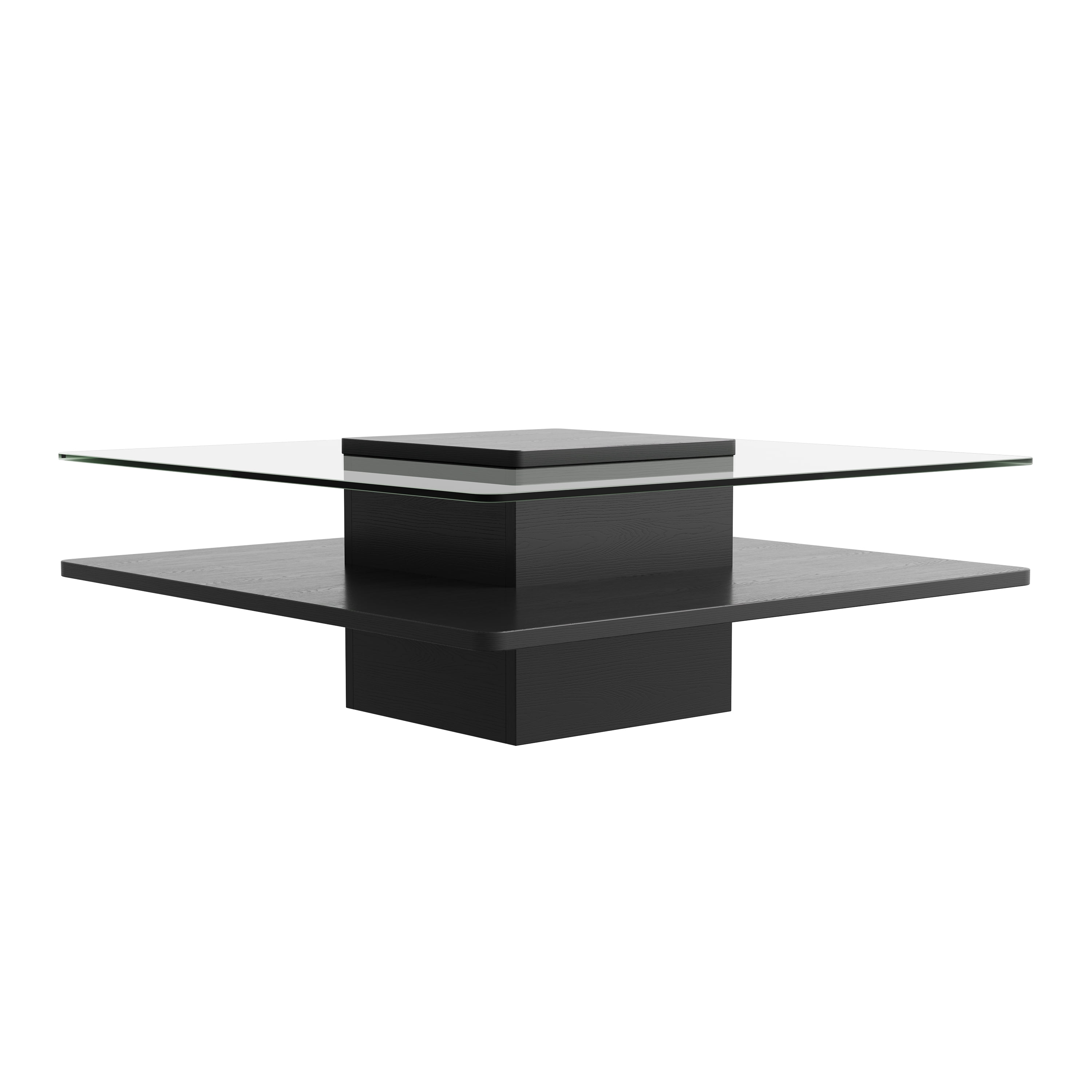GARITIN Coffee Table 31.5 Inch, Square Tempered Glass Top with Storage Shelf and Black Finish Frame for Living Room