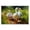 Duck Family Pond, variant on Stupell Industries Pintail Loon in Pond Animals Painting Black Floater Framed Canvas Art Print Wall Art, 21 x 17