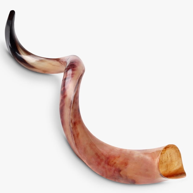 Shofar Halleluyah Kudu original kosher totalmente pulido de Israel