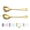 2. gold, variant on Salad Server Set,  Stainless Steel Salad Serving Set, Salad Servers, Salad Spoon, Salad Fork, Pack of 2 (Shiny Silver)
