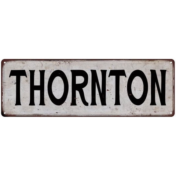THORNTON Vintage Look Rustic Metal City State Sign 8 x 24 Matte Finish Metal 108240041205