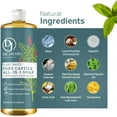 thumbnail image 4 of Dr. Jacobs Naturals Peppermint Castile Soap All-In-One Cleaner Plant-Based Formula, 32 Fl. Oz. 2-Pack, 4 of 9