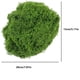 thumbnail image 3 of Xihbxyly Liquidación de Ropa de Mujer Musgo Simulado Musgo Artificial Plantas Verdes Paisajismo Decorativo Césped En Maceta Pavimento Bricolaje Musgo Falso Filamentoso, 3 of 7