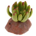 thumbnail image 1 of Succulent Plant Home Ornament Reptile Habitat Decoration Aquarium Fish Terrarium Landscape Decor 1, 1 of 9