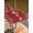 Red, variant on Outdoor Tablecloth with Umbrella Hole and Zipper, Christmas Snowflakes Rectangle Table Cloth 60x84 Inch Waterproof Tablecloth, Winter Xmas Pine Leaf Grey on Linen Picnic Table Cover for Patio Camping