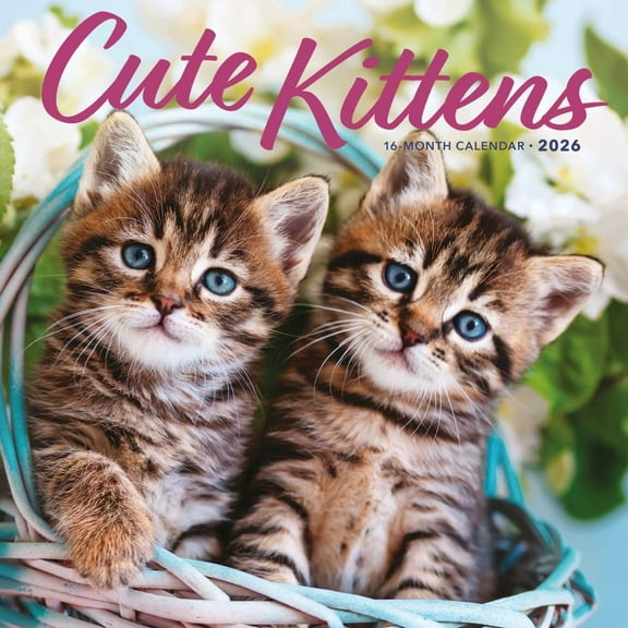 Carousel Calendars, Kittens Cute 2026 Wall Calendar, 12'' X 12'', 16-Month Calendar with Stapled Binding