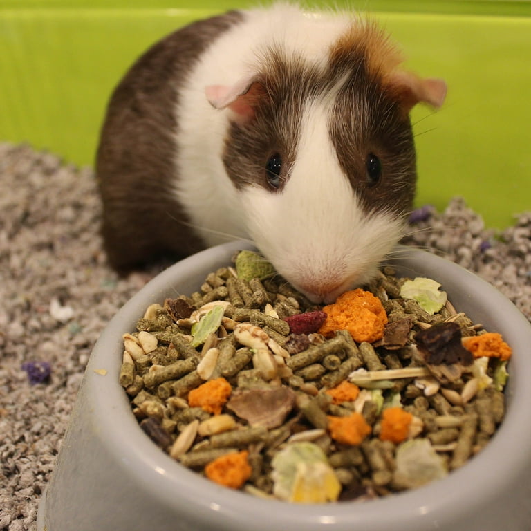 Alfalfa for 2025 guinea pigs