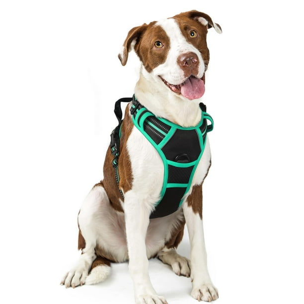 Arnés para perros Rabbitgoo, sin tirón, ajustable para perros grandes