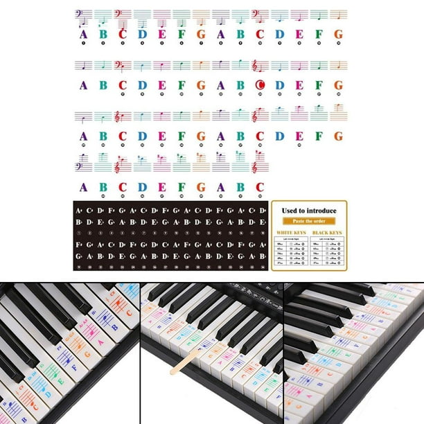 Autocollants de piano de couleur pour claviers à 88 touches; Excellent  outil visuel pour les enfants et les débutants; Transparent et amovible