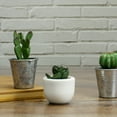 thumbnail image 2 of Northlight 2.75" Succulent Artificial Potted Plant Table Top Decoration - Green/White, 2 of 3