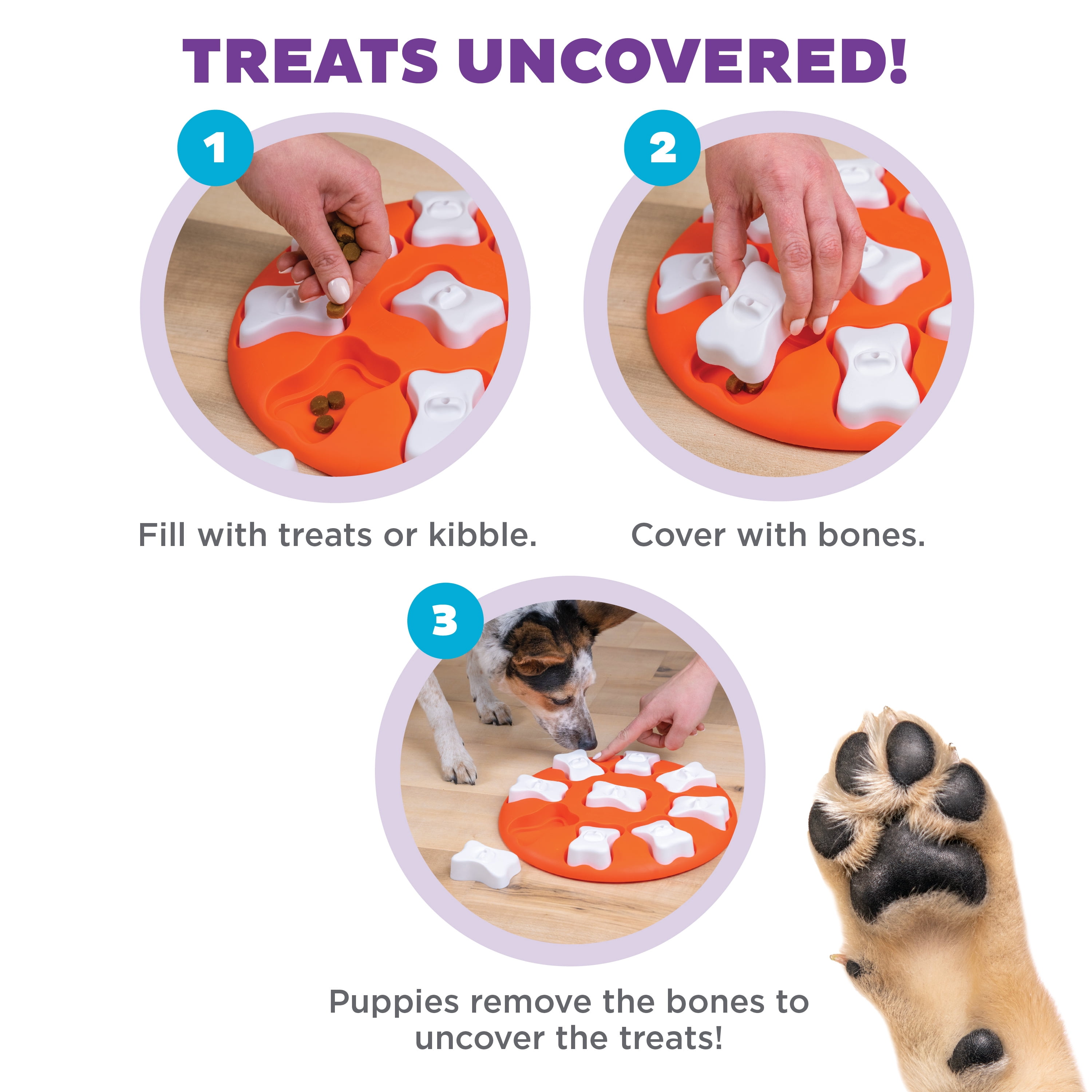 Outward Hound, Dog Smart Treat Puzzle, Orange, Level 1 Beginner