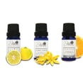 thumbnail image 3 of Set de 6 Aceites Esenciales para difusor Punto aroma Lima, Y. Ylang,Naranja,Canela,Lemongrass, Tea Tree, 3 of 5
