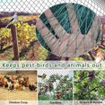 thumbnail image 3 of Bird protection net Fine mesh Cat net Window Without drilling Bird net Balcony 1.5 x1.5cm large for farms Viticulture and orchard,1x10m, 3 of 5